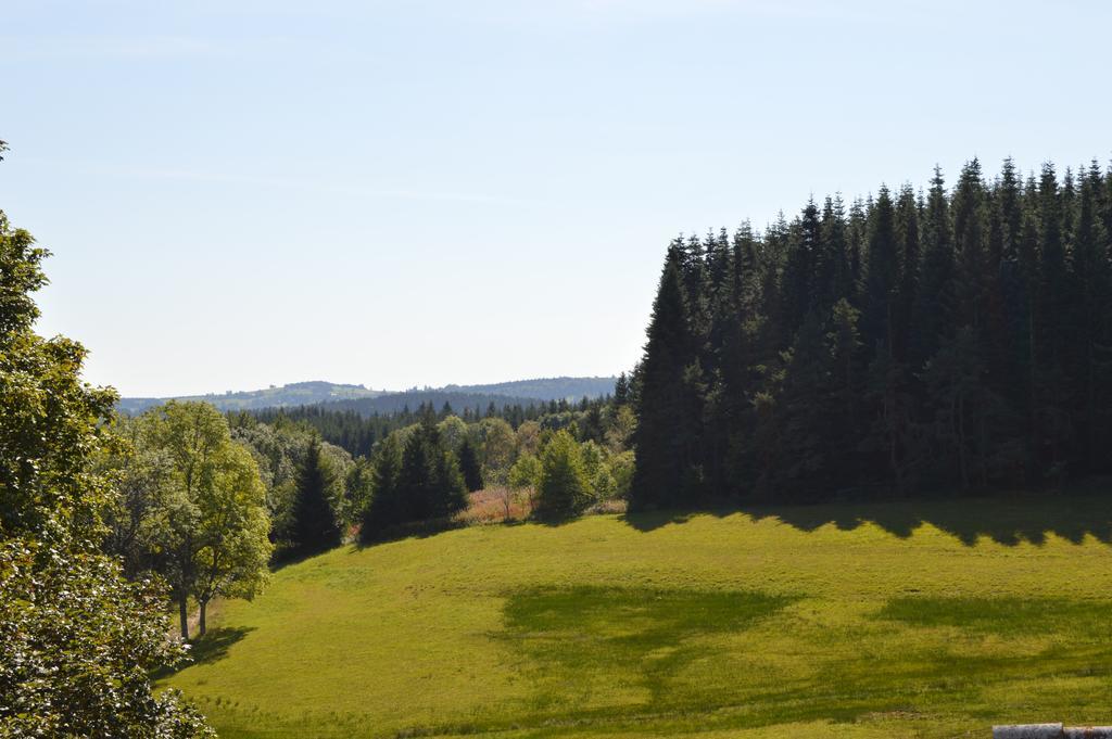 Logis Le Relais Du Bois Vialotte Le Chambon-sur-Lignon